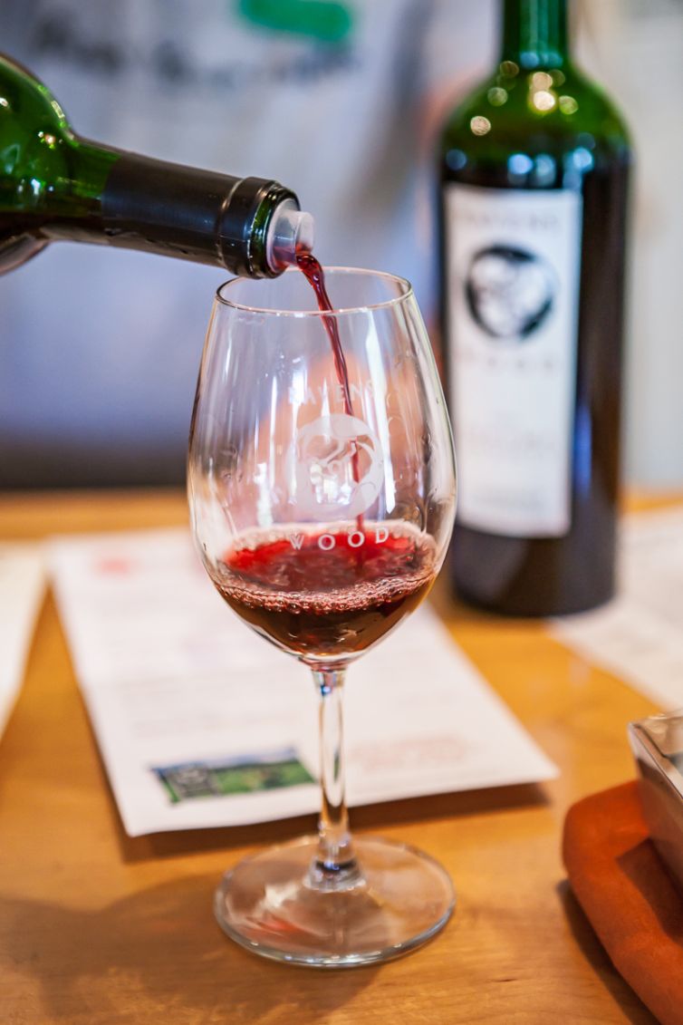 Travel Photography - Wine Country - A Shared Adventure In The Vineyards- Palm Island Creative