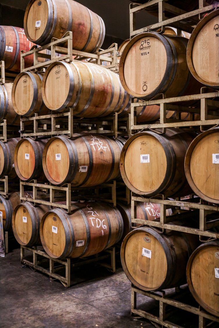 Travel Photography - Wine Country - A Shared Adventure In The Vineyards- Palm Island Creative