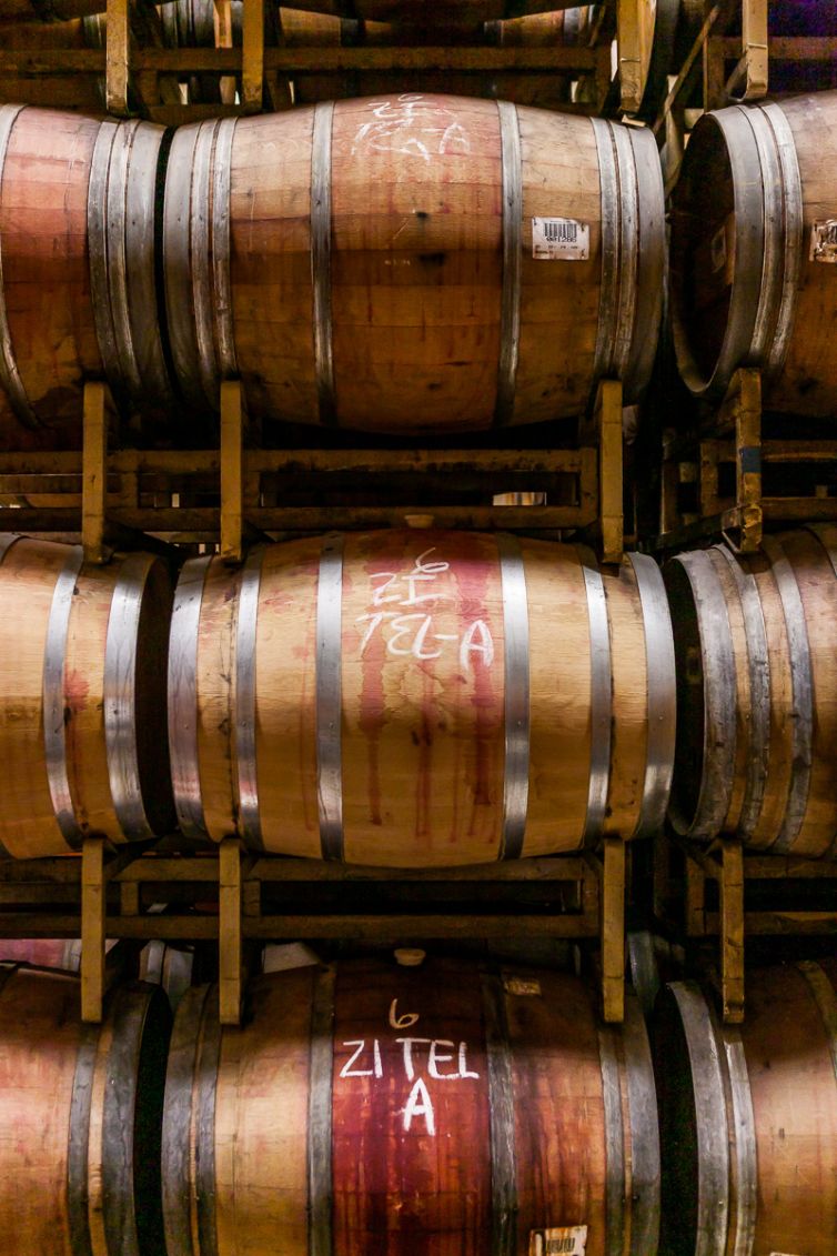 Travel Photography - Wine Country - A Shared Adventure In The Vineyards- Palm Island Creative