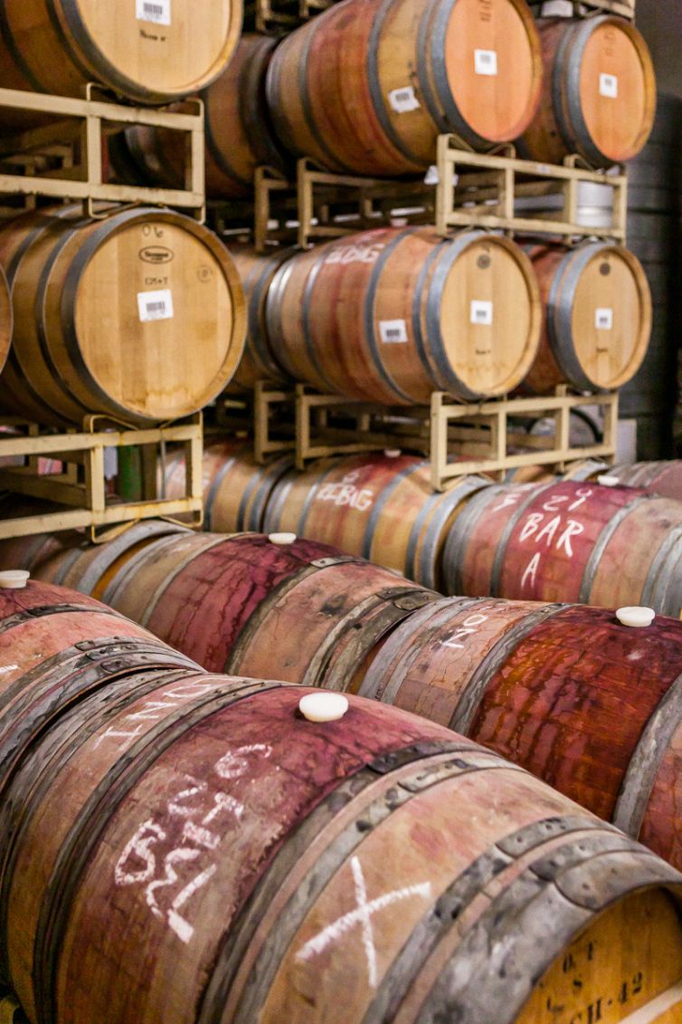 Travel Photography - Wine Country - A Shared Adventure In The Vineyards- Palm Island Creative