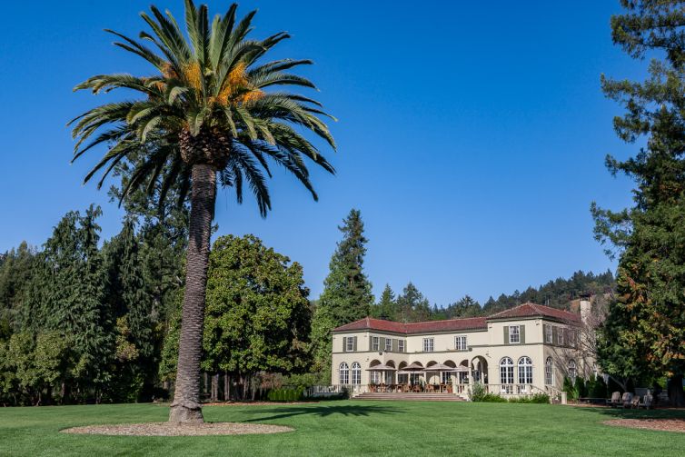 Travel Photography - Wine Country - A Shared Adventure In The Vineyards- Palm Island Creative