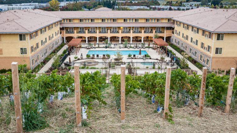 Travel Photography - Wine Country - A Shared Adventure In The Vineyards- Palm Island Creative