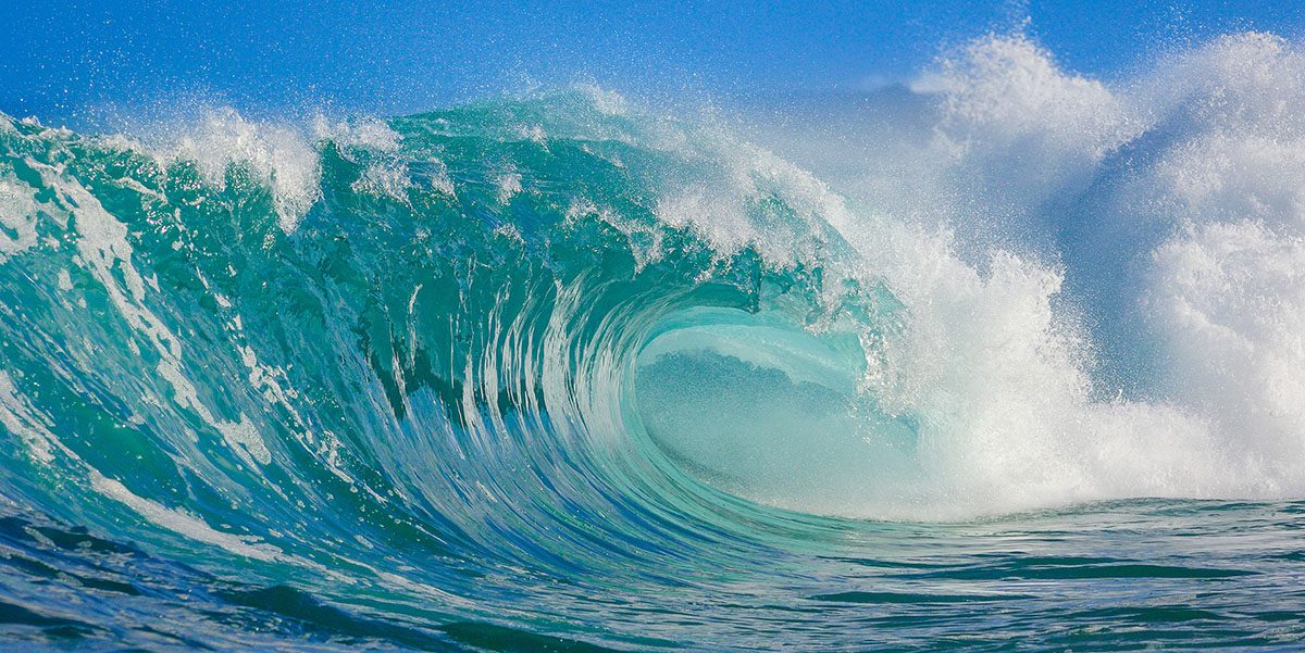 Visual Content - Video Visuals & Motion Graphics - Create - Palm Island Creative