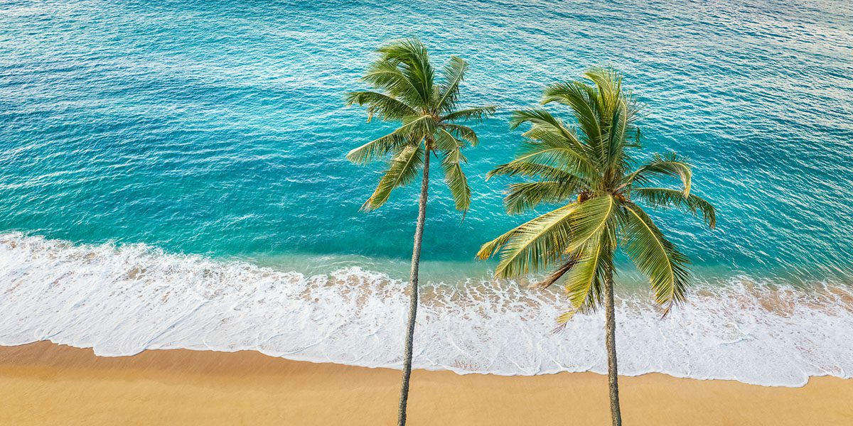 Web Development - AI Assisted Content Structure - Create - Palm Island Creative