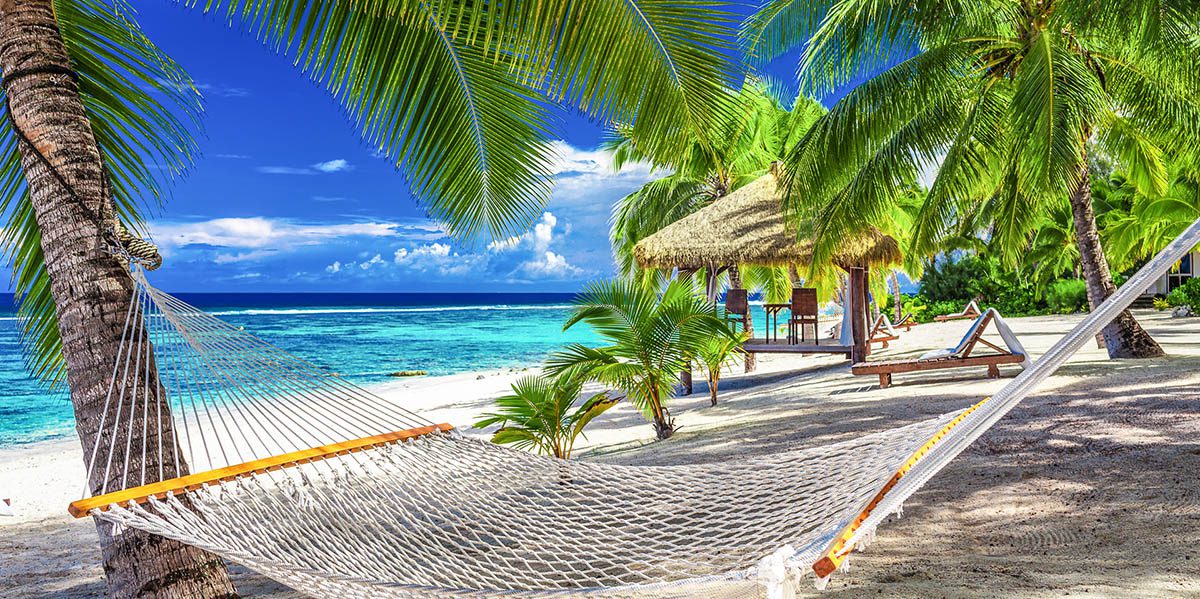 Web Development - WordPress Development - Create - Palm Island Creative