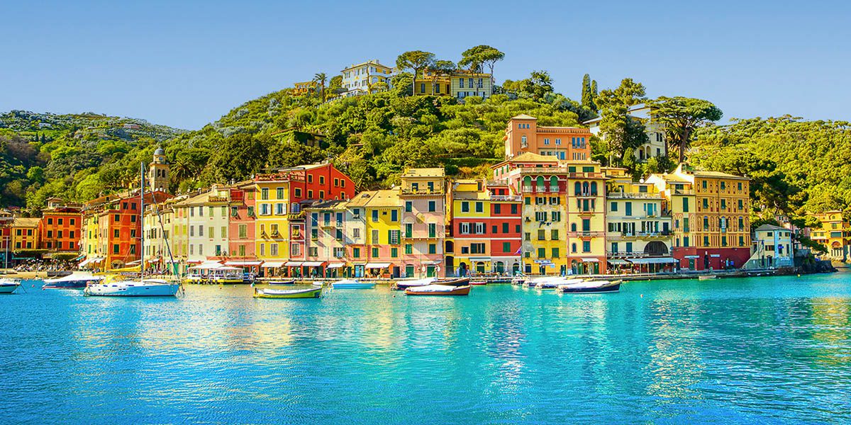 Website Design - AI Assisted Design - Create - Palm Island Creative