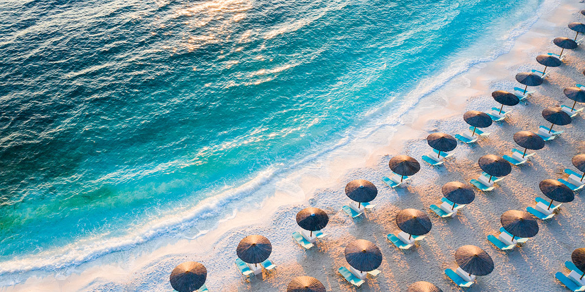 Website Design - Conversion Centered Design - Create - Palm Island Creative