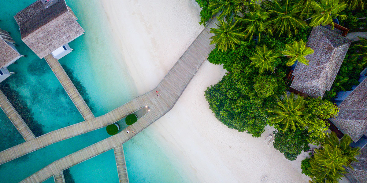 Website Design - Responsive Layout - Create - Palm Island Creative