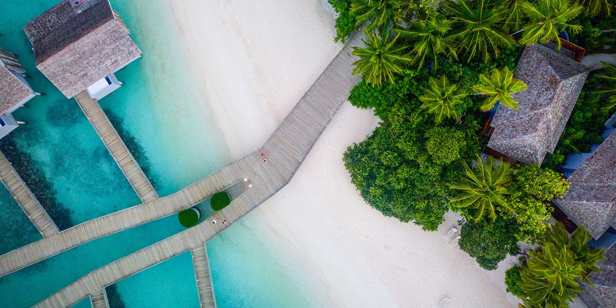 Website Design - Responsive Layout - Create - Palm Island Creative