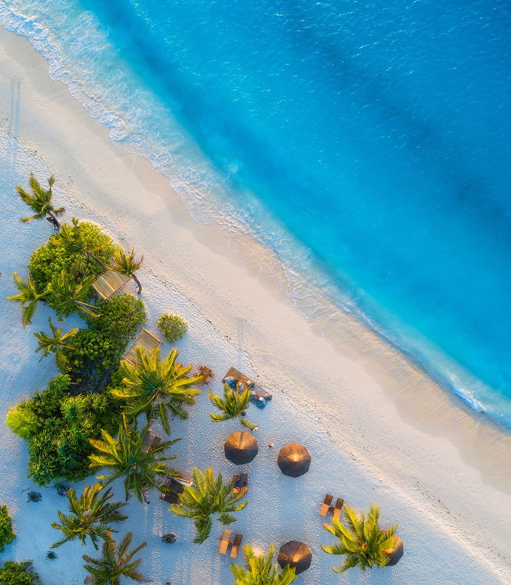 Welcome To Palm Island Creative