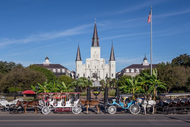 Visual Content - Creating A Restaurant Experience That Stirs Desire - Palm Island Creative