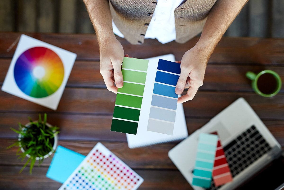 Color Palette Development - Brand Identity - Palm Island Creative