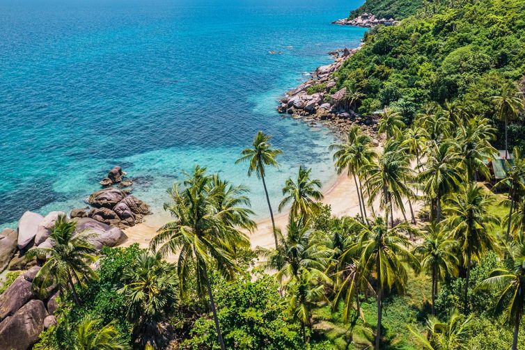 Explore - Palm Island Creative