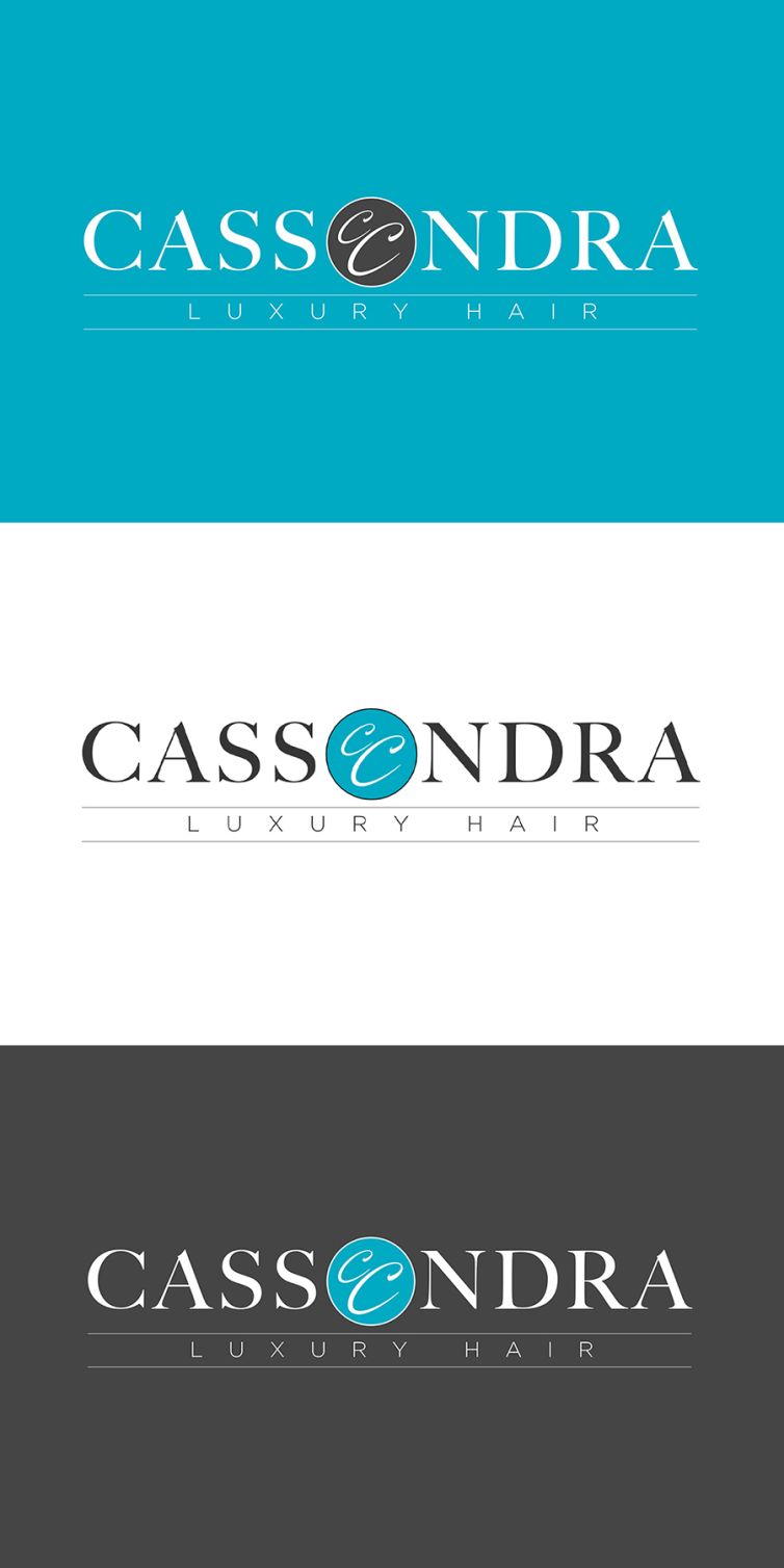 Logo Design - Design Portfolio - Palm Island Creative