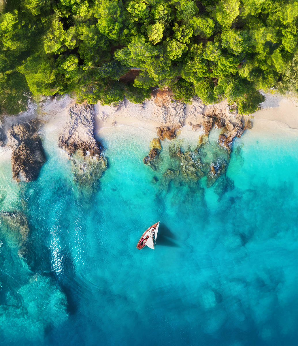 Newsletter - Palm Island Creative