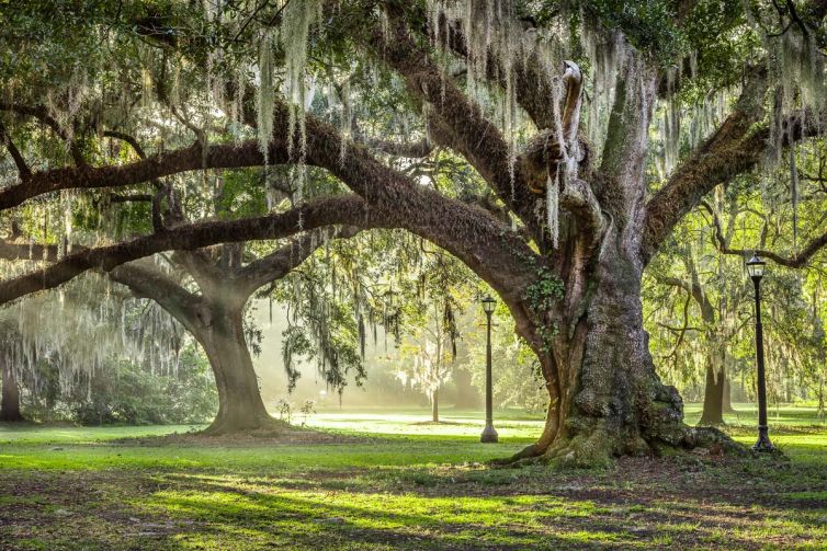 Travel & Tourism Photography - Photo Collection - Palm Island Creative