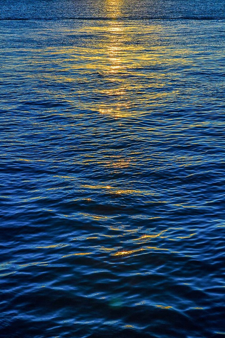 Travel & Tourism Photography - Photo Collection - Palm Island Creative