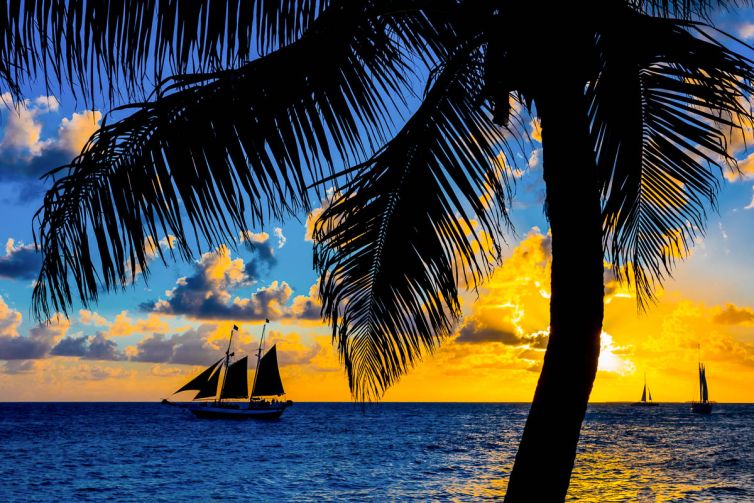 Travel & Tourism Photography - Photo Collection - Palm Island Creative