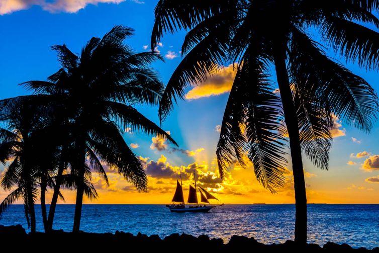 Travel & Tourism Photography - Photo Collection - Palm Island Creative