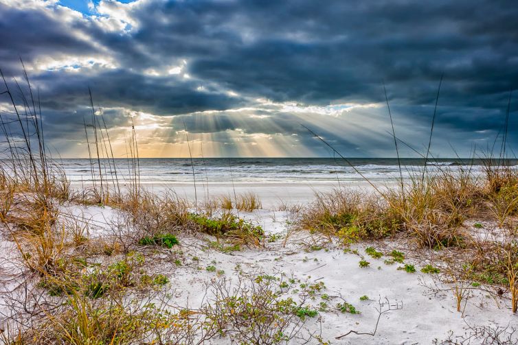 Travel & Tourism Photography - Photo Collection - Palm Island Creative