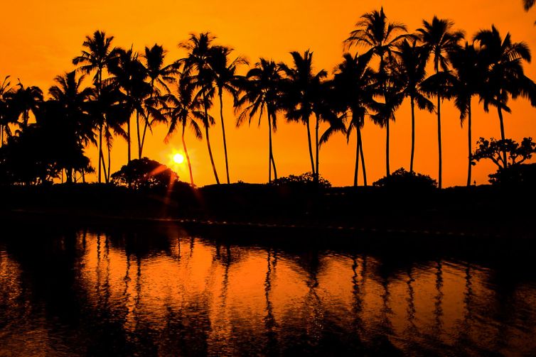 Travel & Tourism Photography - Photo Collection - Palm Island Creative