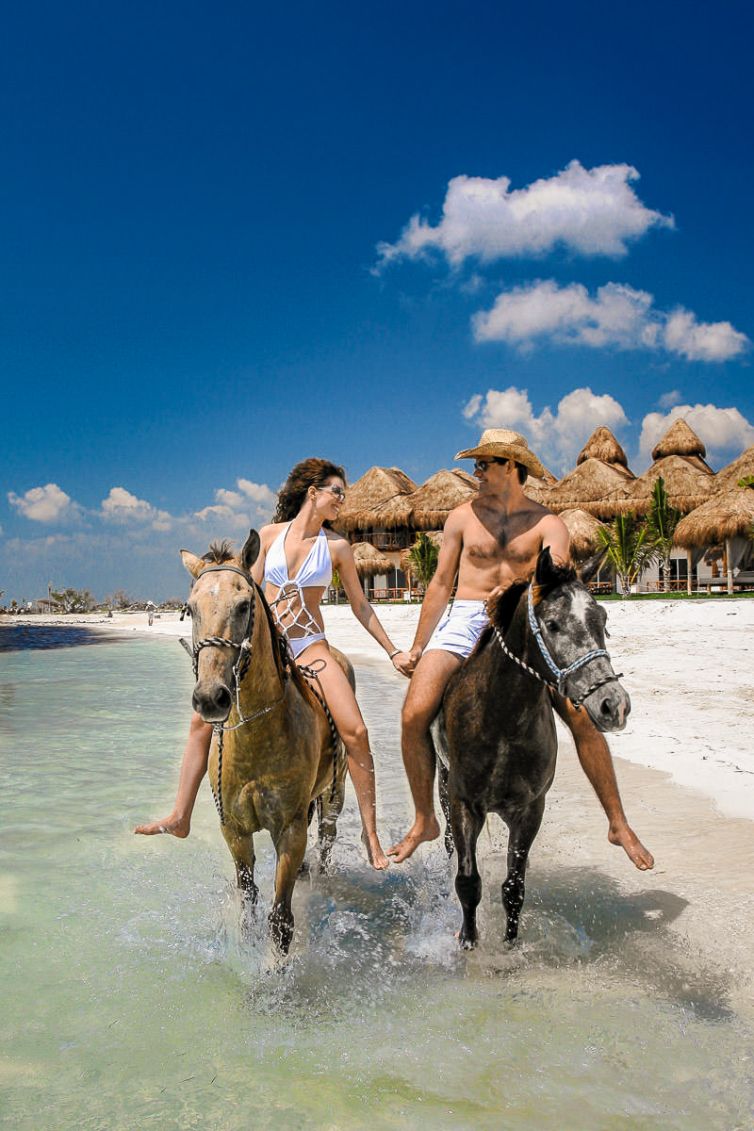 Travel & Tourism Photography - Photo Collection - Palm Island Creative