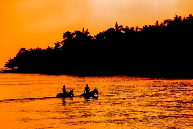 Travel & Tourism Photography - Photo Collection - Palm Island Creative