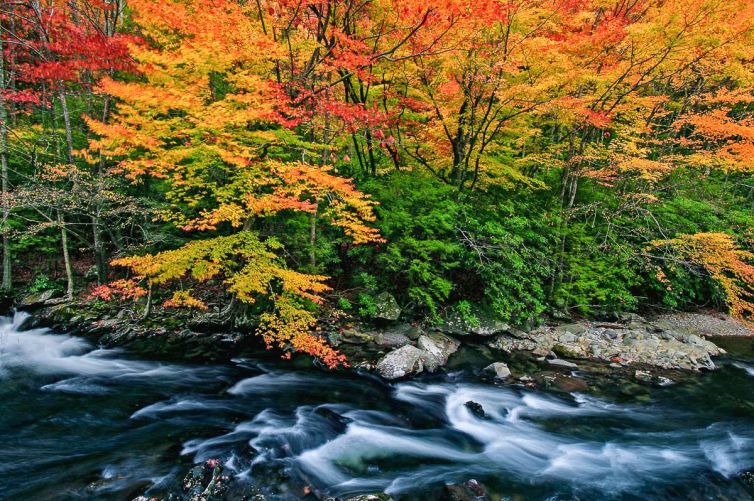 Travel & Tourism Photography - Photo Collection - Palm Island Creative