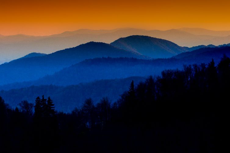 Travel & Tourism Photography - Photo Collection - Palm Island Creative