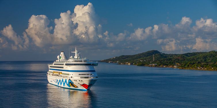 Travel & Tourism Photography - Photo Collection - Palm Island Creative