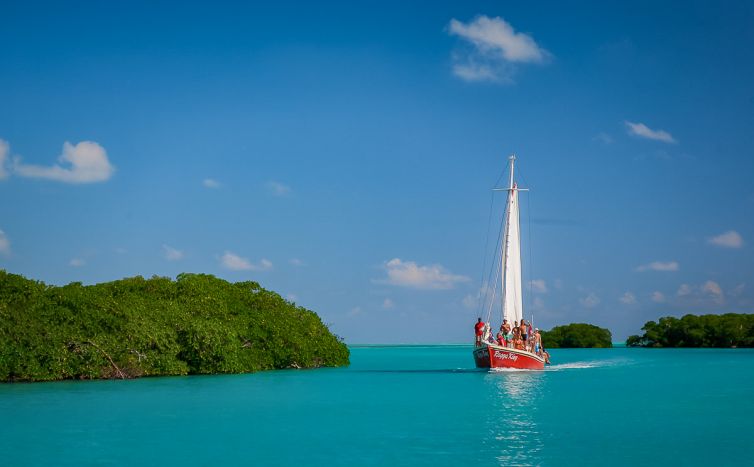 Travel & Tourism Photography - Photo Collection - Palm Island Creative