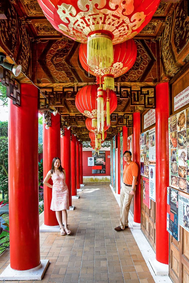 Travel & Tourism Photography - Photo Collection - Palm Island Creative