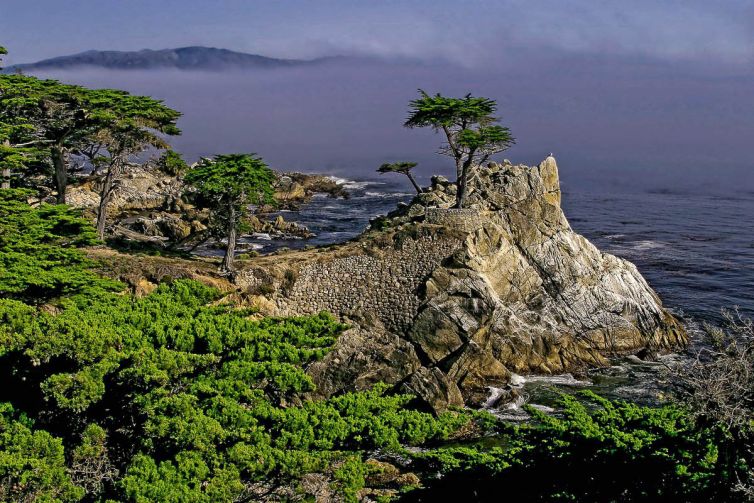 Travel & Tourism Photography - Photo Collection - Palm Island Creative