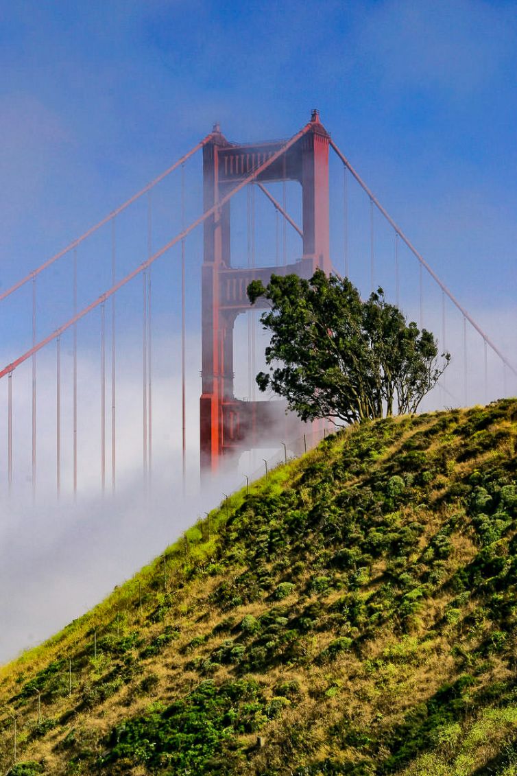 Travel & Tourism Photography - Photo Collection - Palm Island Creative