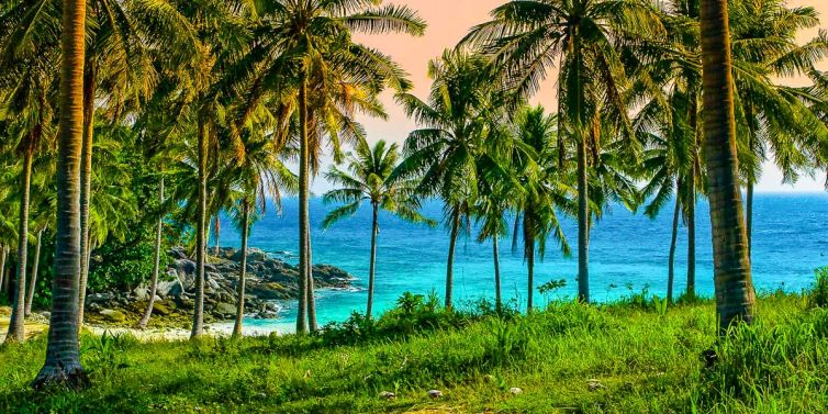 Travel & Tourism Photography - Photo Collection - Palm Island Creative