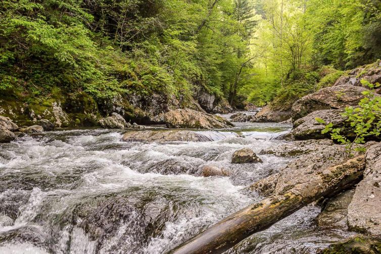 Travel & Tourism Photography - Photo Collection - Palm Island Creative