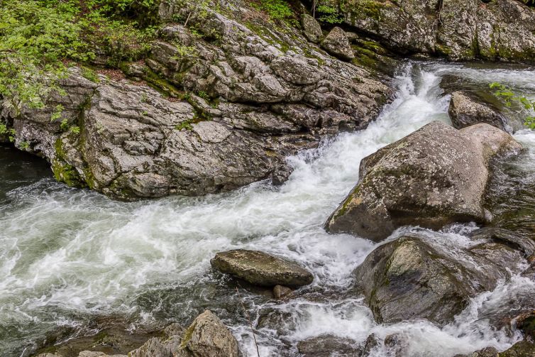 Travel & Tourism Photography - Photo Collection - Palm Island Creative