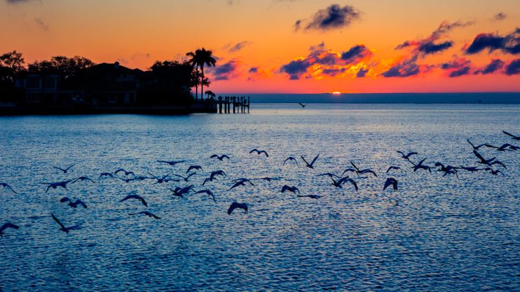 Travel & Tourism Photography - Photo Collection - Palm Island Creative