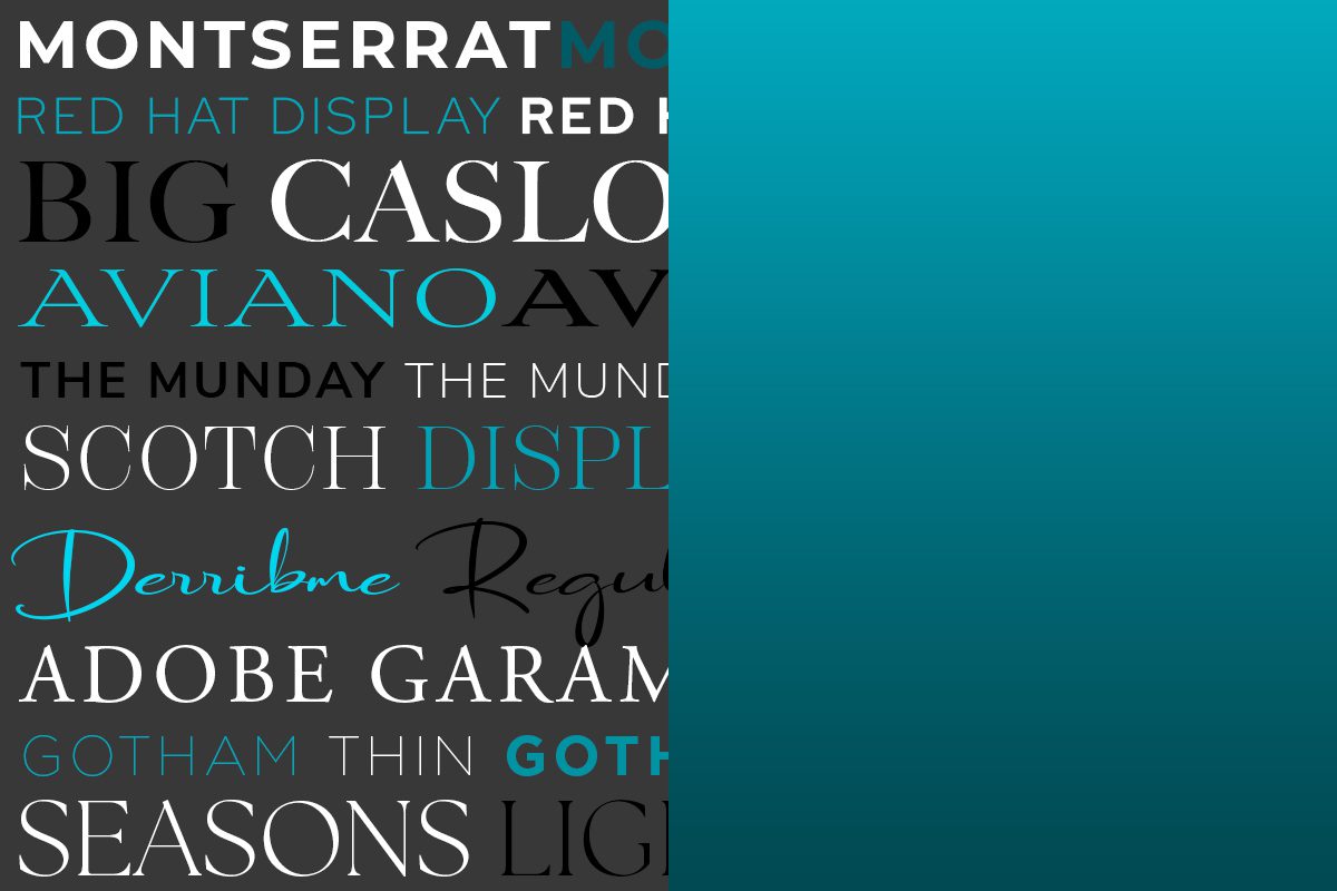 Typography Color Development - Logo Design - Palm Island Creative