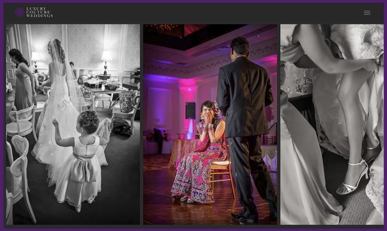 Website Design & Development - Design Portfolio - Palm Island Creative