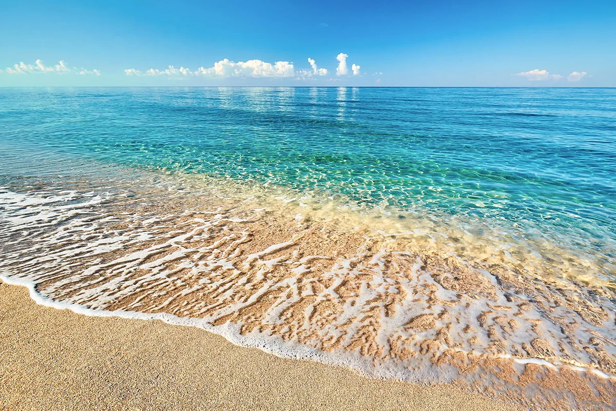 Largo, FL Creative and Digital Services For Small Businesses - Palm Island Creative