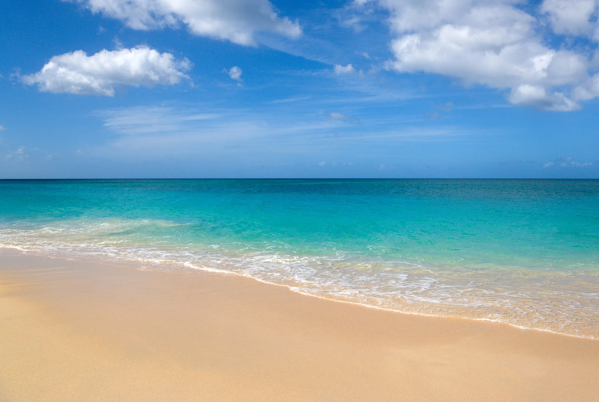 Largo, FL Creative and Digital Services For Small Businesses - Palm Island Creative