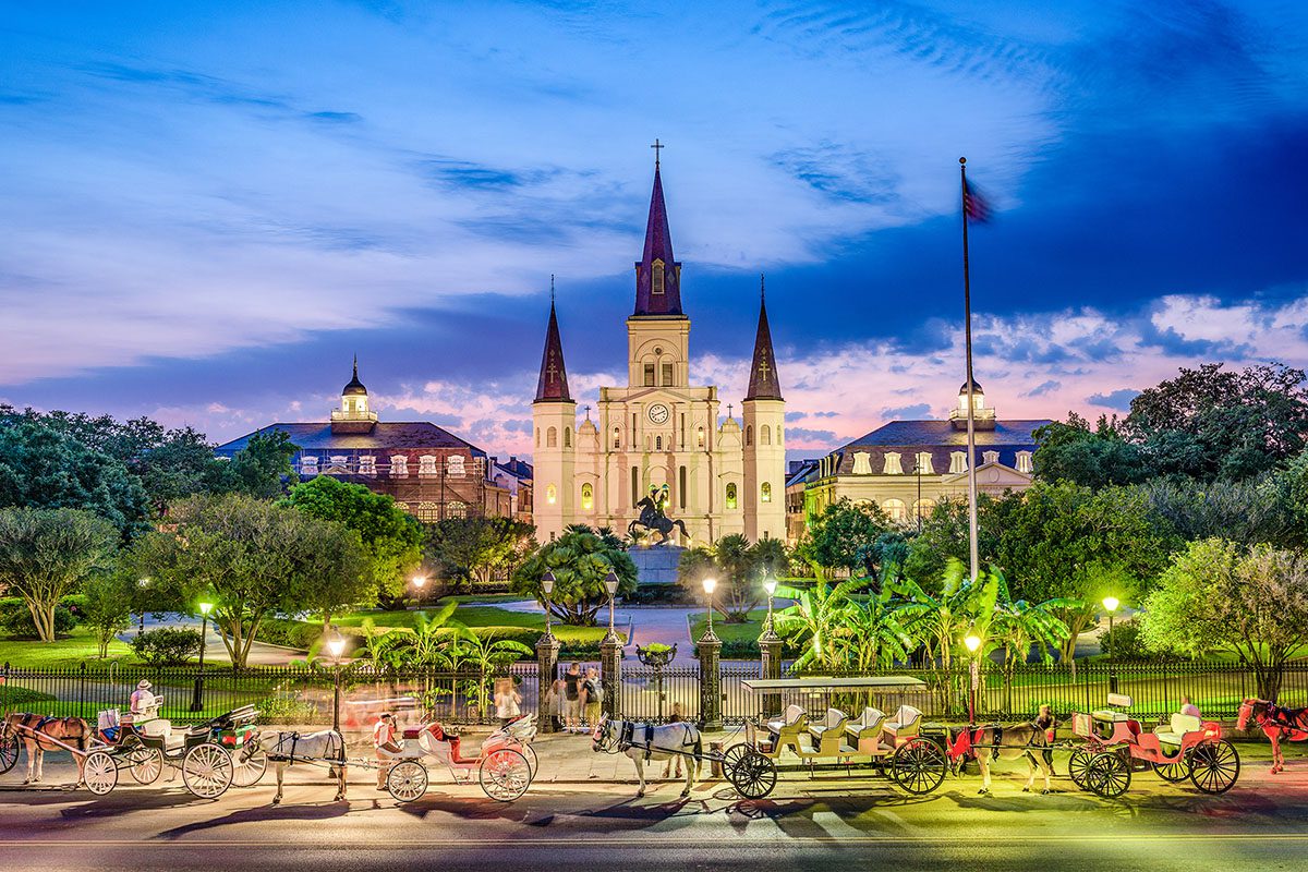 New Orleans, LA Creative and Digital Services For Small Businesses - Palm Island Creative